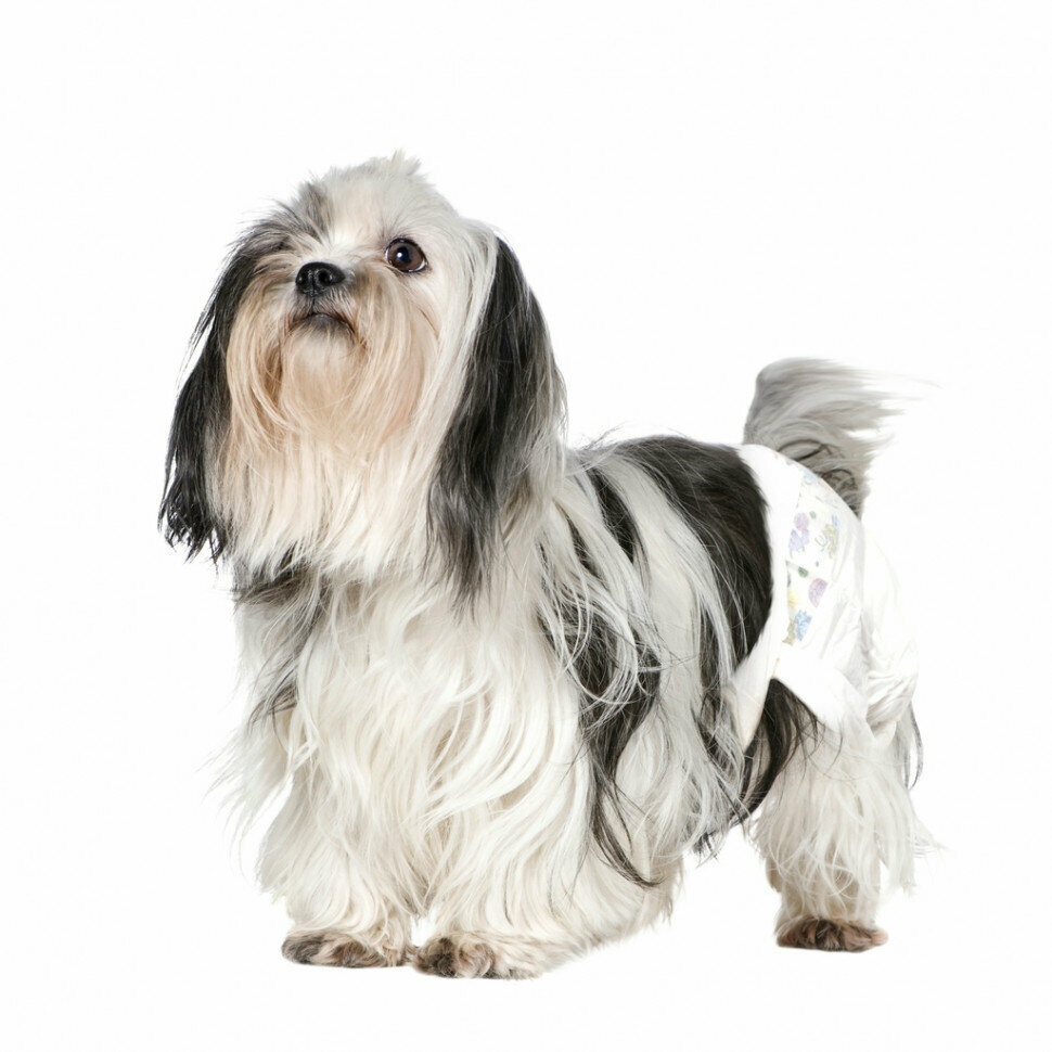 фото Camon подгузники для собак и кошек, размер L (45-55 см), 12 шт