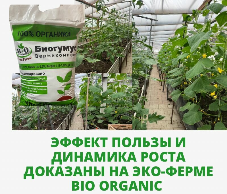 Биогумус (вермикомпост) Bio Organic/ органическое удобрение универсальное 5 л - фотография № 4