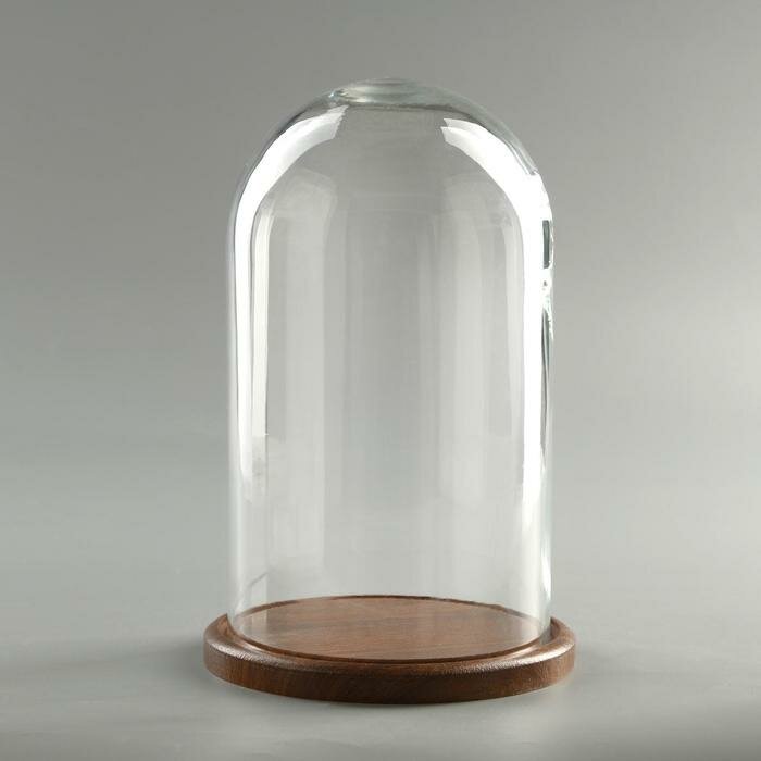 Evis Стеклянный купол-клош на деревянной подставке "Венсан - 1", 25х15 см, коричневый - фотография № 1