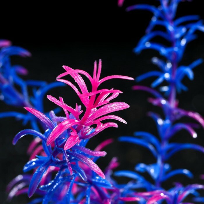 Растение искусственное аквариумное, 4 х 20 см, фиолетовое - фотография № 2