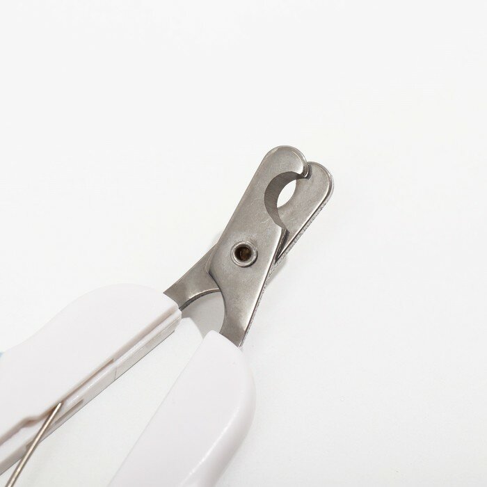 Ножницы-когтерезы Пижон Premium изогнутые, с упором для пальца, бело-розовые - фотография № 2