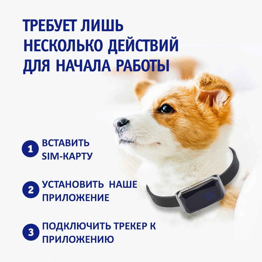 GPS-ошейник для собак, ошейник для собак и кошек - фотография № 4