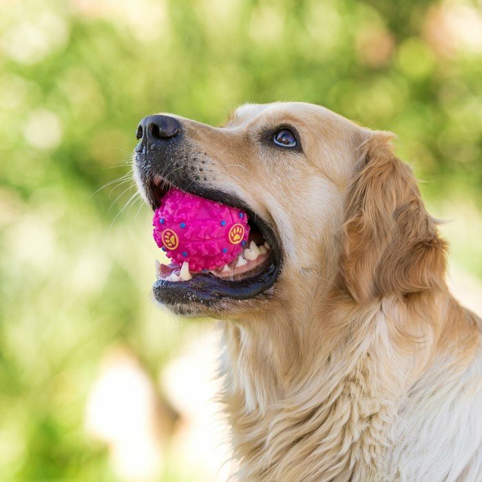 Квакающий мяч для собак, жёсткий, 7,5 см, розовый (комплект из 6 шт) - фотография № 5