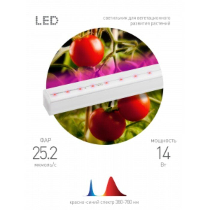 ЭРА Фитосветильник светодиодный, 14 Вт, 872 мм, IP20, сине-красный спектр, бело-красный, «ЭРА» - фотография № 7