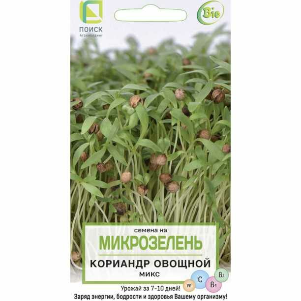 МикроЗелень Кориандр овощной Микс (1 ед.)