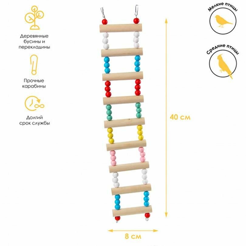 Игрушка для птиц, PetStandArt, лестница-мостик, деревянный, 40 см, 1 шт. - фотография № 3