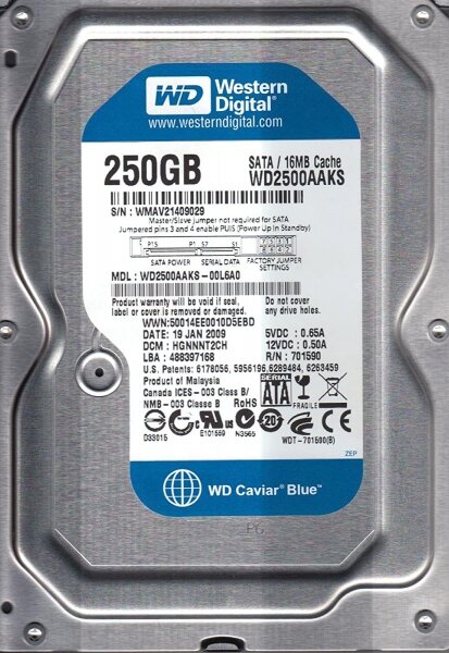 Жесткий диск Western Digital WD Blue 250 ГБ WD2500AAKS