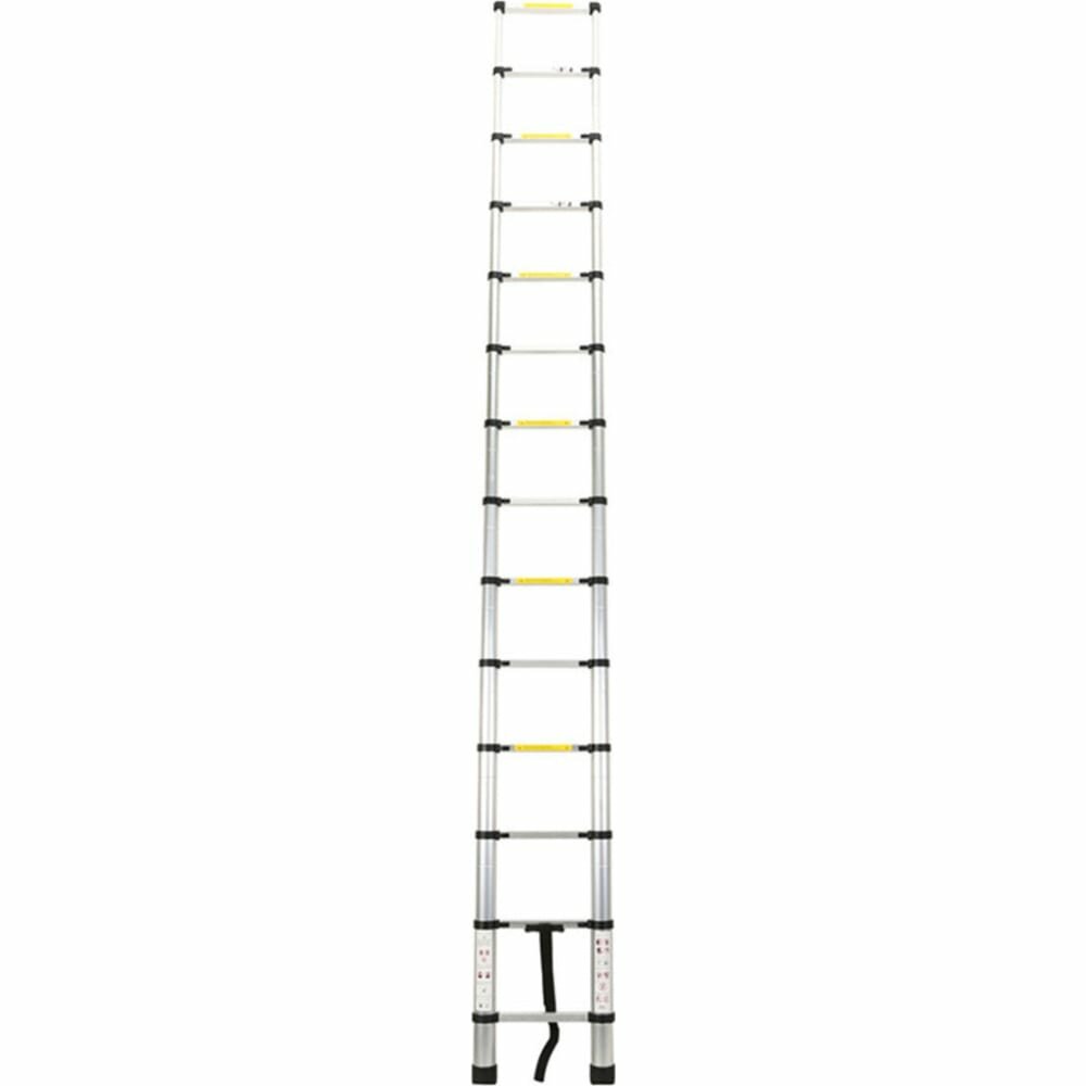 WORKY Лестница телескопическая 4,4 м, 15 ступеней, ARD128091