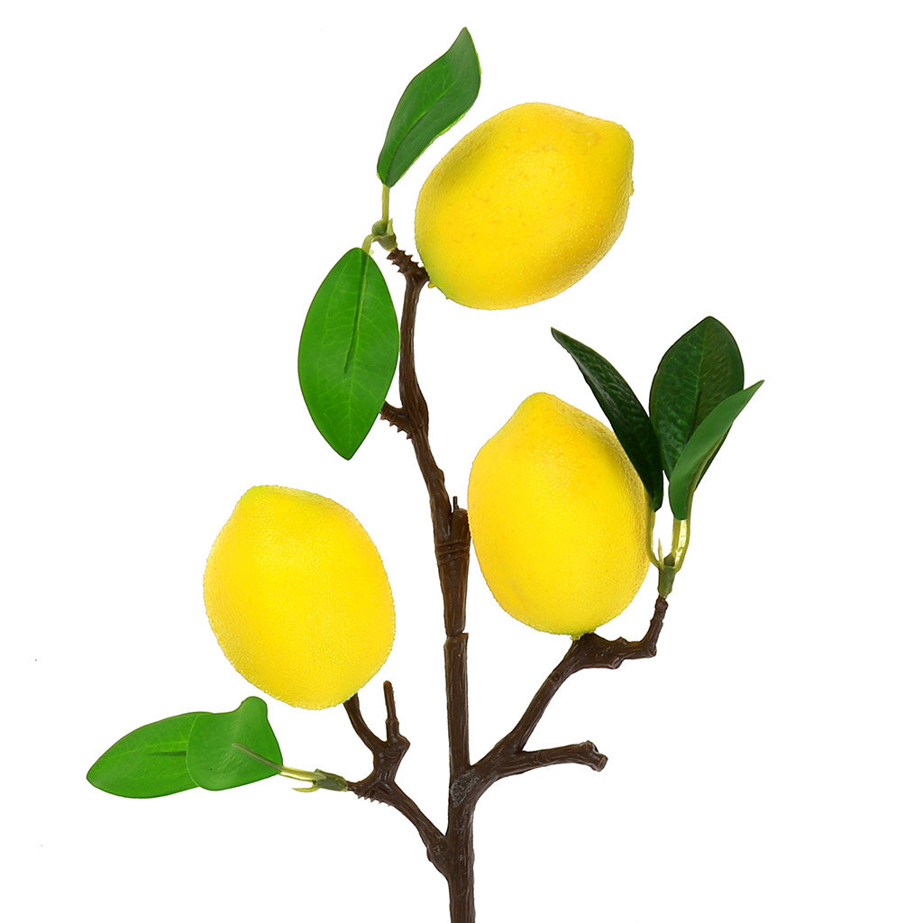 Купить лимоны на ветке стеллажи под цветы напольные купить