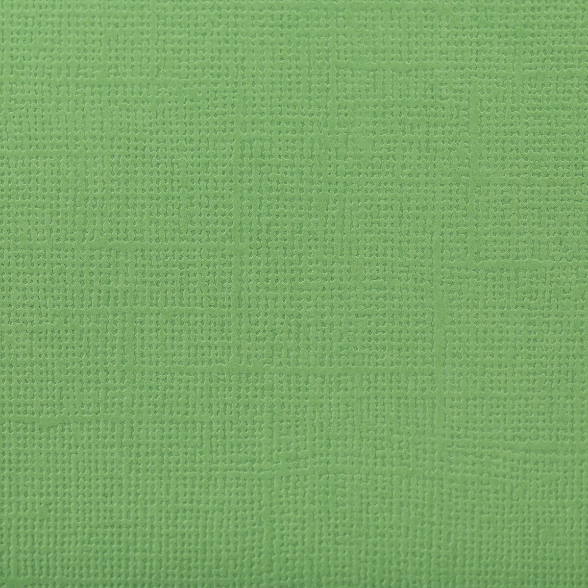 Бумага для скрапбукинга "Mr.Painter" PST 216 г/кв. м 30.5 x 30.5 см 59 Авокадо (зелёный)