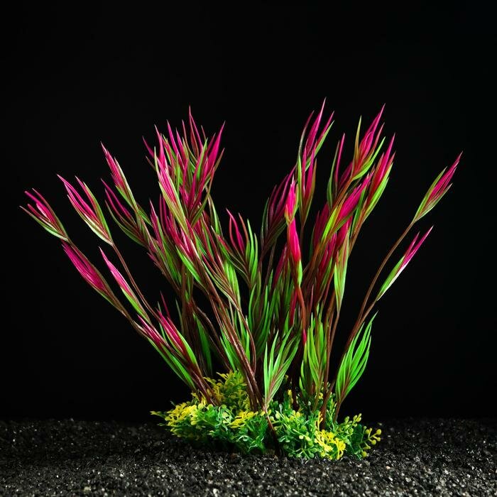 Растение искусственное аквариумное, 22 см, розово-зелёное - фотография № 1