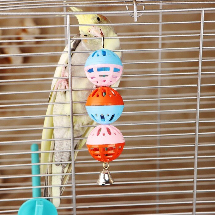 Игрушка для попугая "Забава" с 3 шариками, микс - фотография № 1