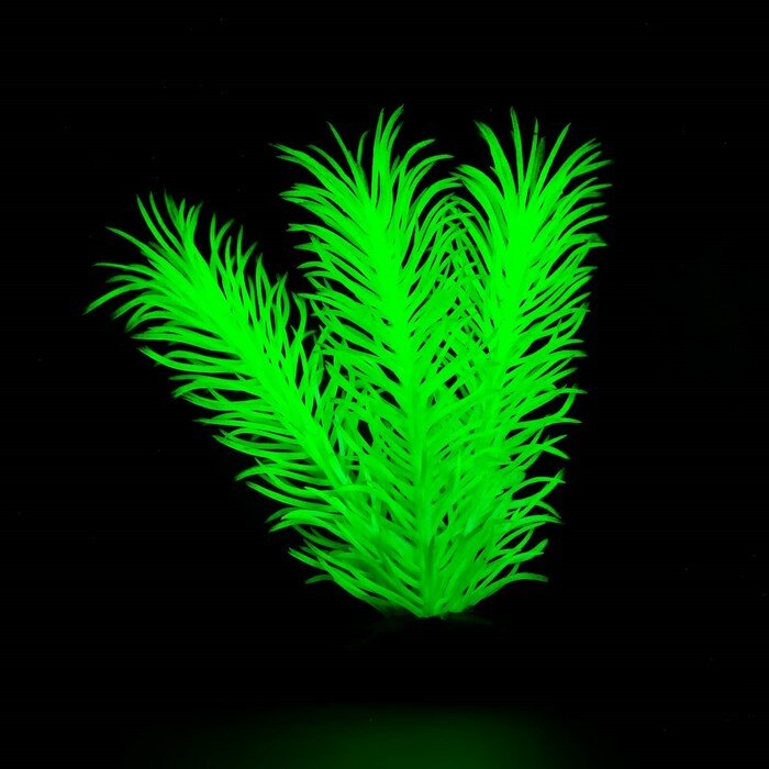Растение искусственное аквариумное, светящееся, 8 см, зелёное - фотография № 4