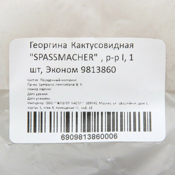 Георгина Кактусовидная "SPASSMACHER" , р-р I, 1 шт, Эконом - фотография № 2