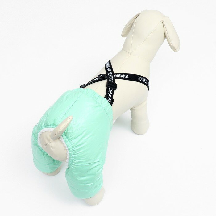 Комбинезон-штаны для собак, размер XS (ДС 26, от 28 см), мятный - фотография № 3
