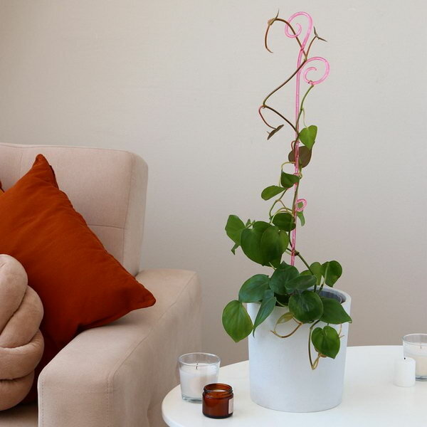 Поддержка для орхидей, h = 62 см, пластик, розовая, 3 шт. - фотография № 4
