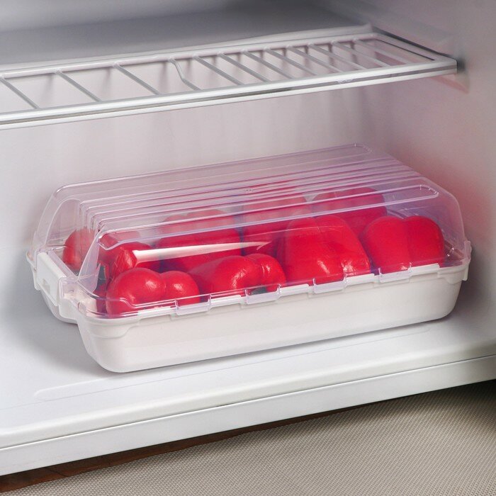 Контейнер для холодильника, размер контейнера с крышкой 32x18x10.5 см - фотография № 1