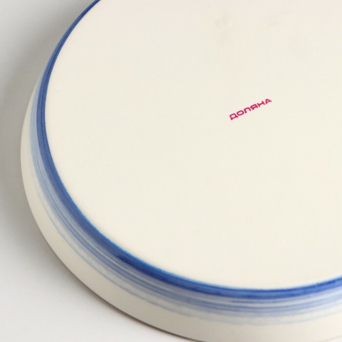 Доляна Форма для запекания из жаропрочной керамики Доляна «Космос», d=25 см, цвет синий - фотография № 3