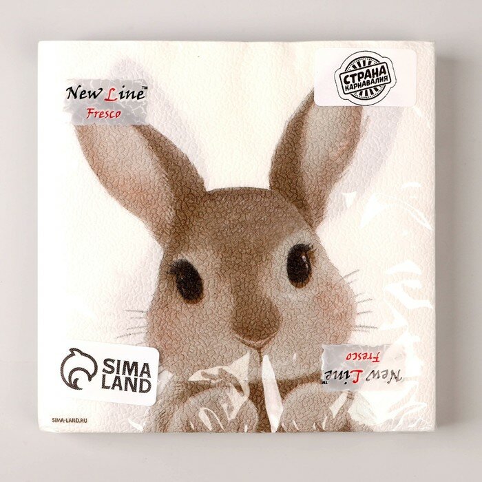 Салфетки бумажные однослойные «Кролик», 33 х 33 см, набор 20 штук - фотография № 7