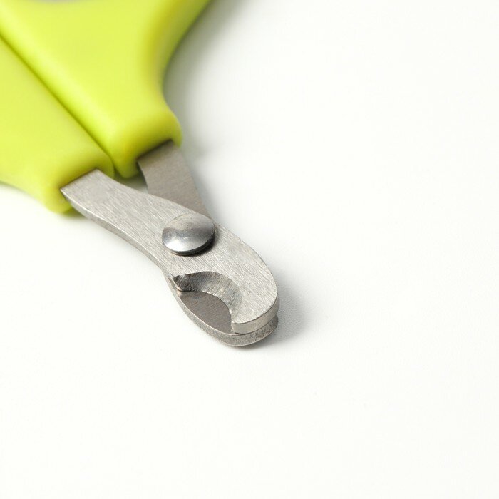 Ножницы-когтерезы с мягкими ручками, отверстие 8 мм, зелёно-серые - фотография № 2