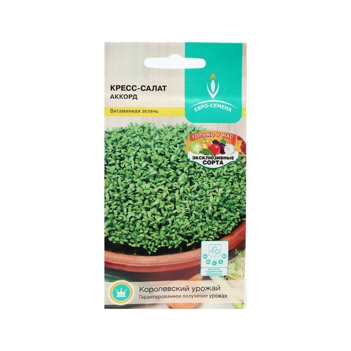 Семена Кресс-салат Аккорд листья нежные вкус пряный через 15 дней готов к срезке 1г.
