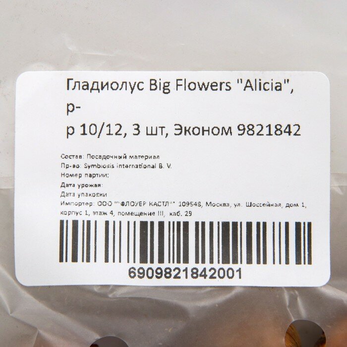 Гладиолус Big Flowers "Alicia", р-р 10/12, 3 шт, Эконом - фотография № 2