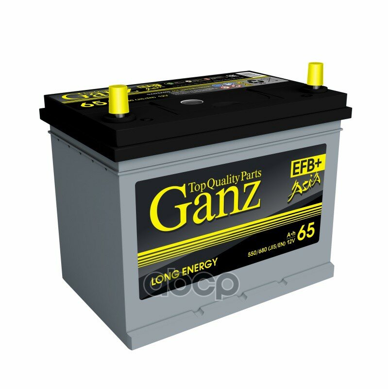  Ganz Asia Efb 65 /  232x175x225 En550 A GANZ . GAEFBA650