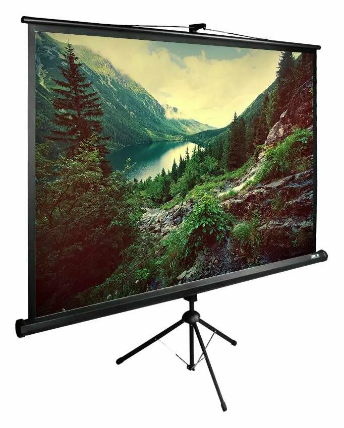 Экран для проектора Cactus CS-PSTE-220X220-BK 220x220 см