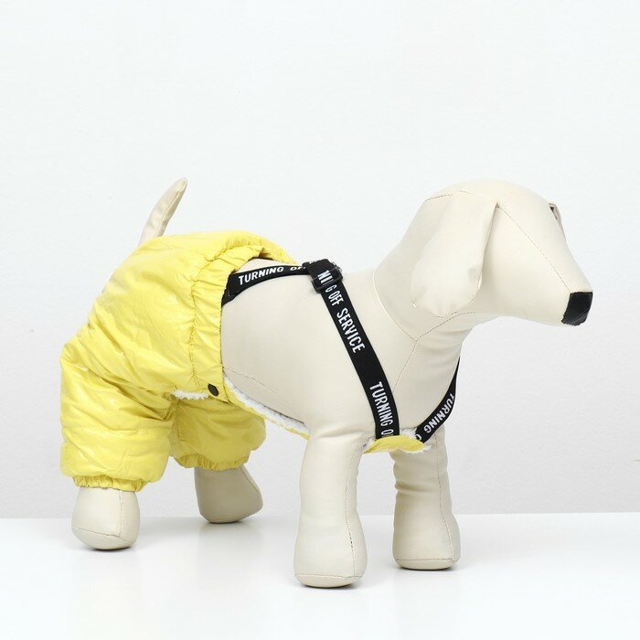 Комбинезон-штаны для собак, размер XS (ДС 26, от 28 см), жёлтый - фотография № 1