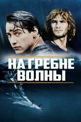 На гребне волны (1991) (DVD-R)