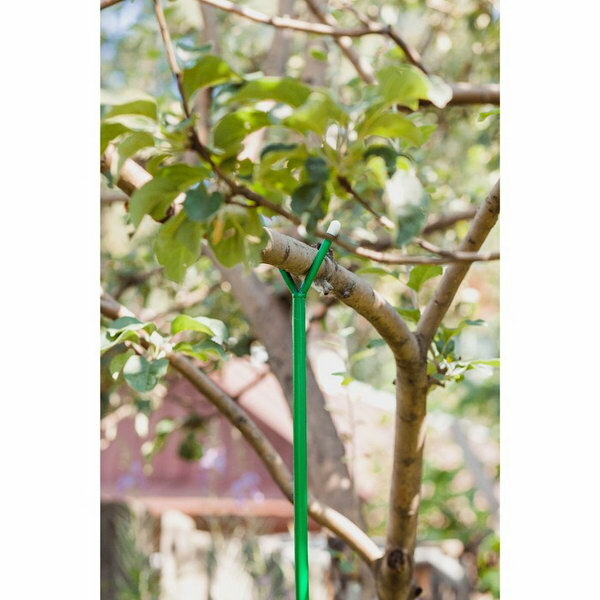 Опора для ветвей, h = 160-280 см, ножка d = 1.6 см, металл, зелёная - фотография № 5