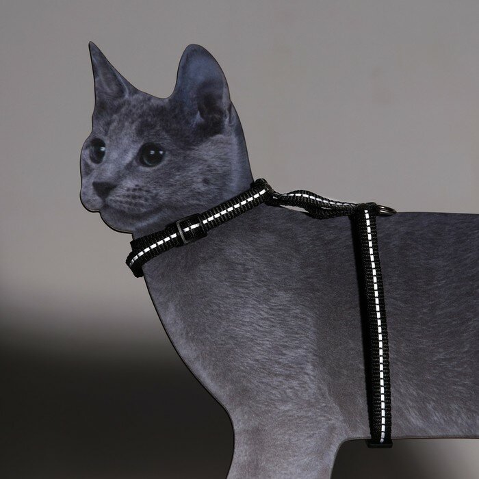 Шлейка для кошек, ширина 1 см, светоотражающий, ОШ 16,5-27 см, ОГ 21-35 см, чёрный - фотография № 1