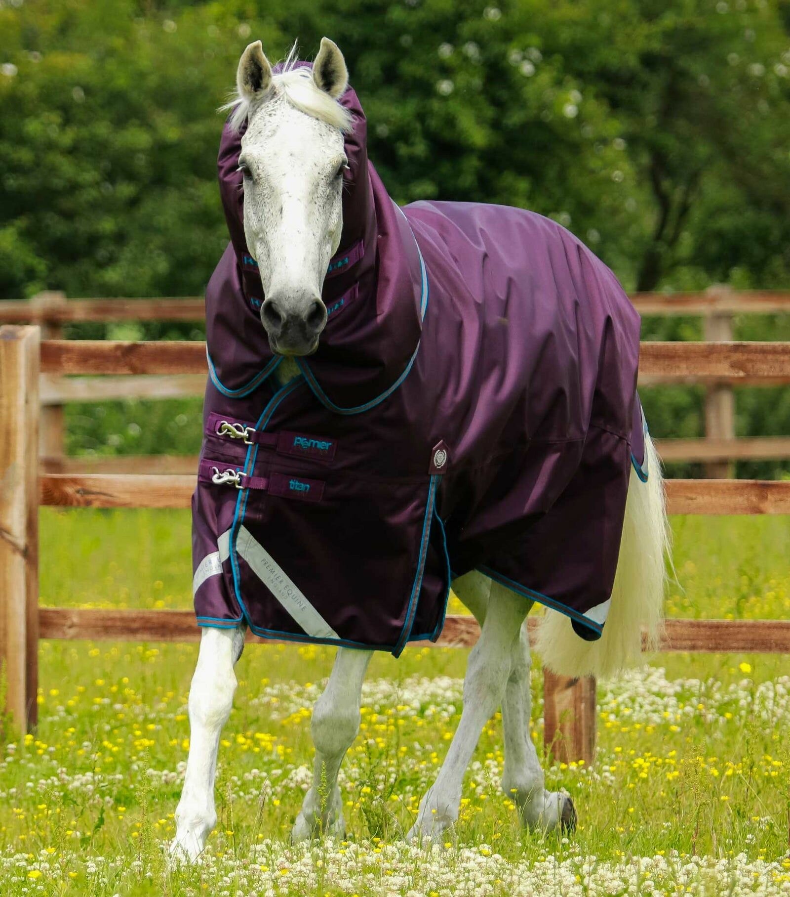 Попона для лошади Premier Equine England Titan 200, 5.3 - фотография № 1