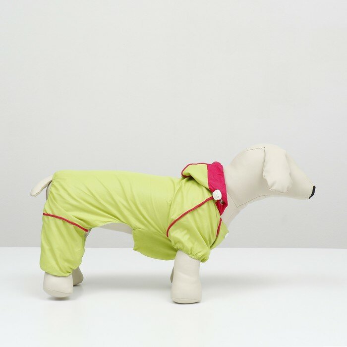 Комбинезон для собак, демисезонный с сумкой, размер М (ДС 29, Ог 37, ОШ 27 см), салатовый - фотография № 3