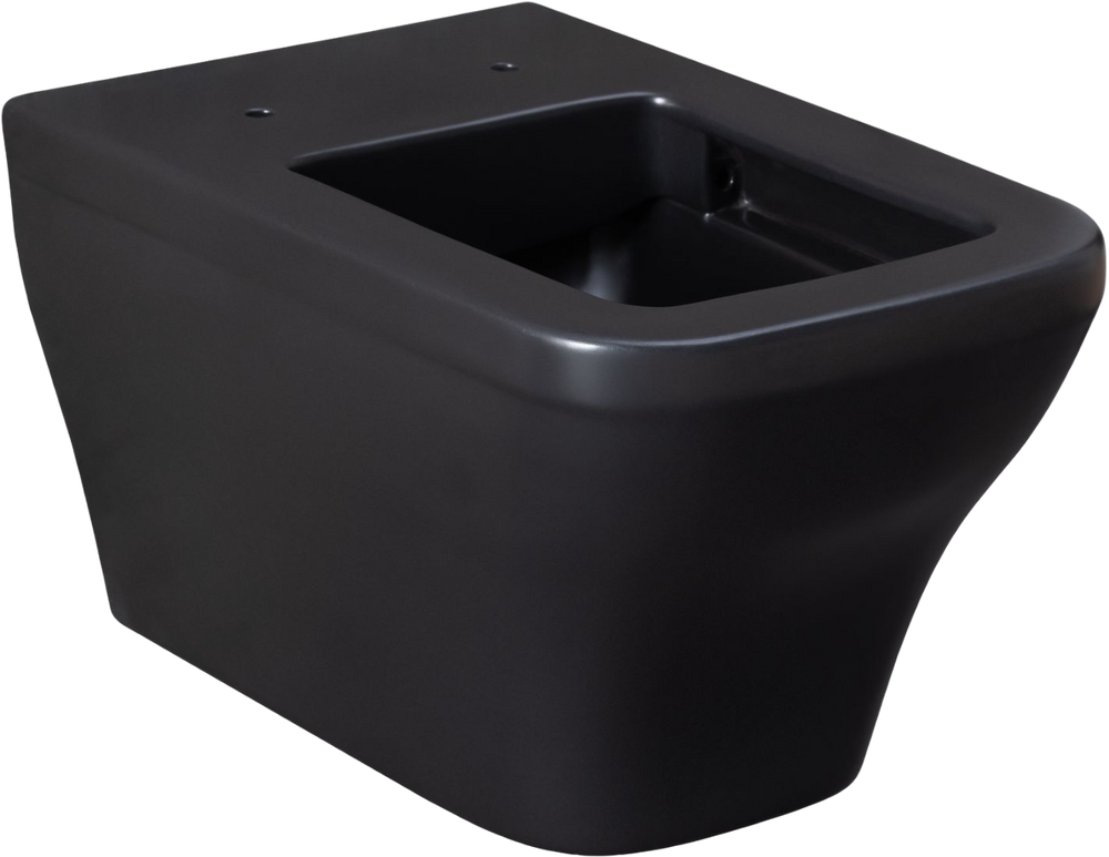 фото Allen Brau Чаша для унитаза подвесного Allen Brau Infinity 4.21011.AN безободковая, антрацит