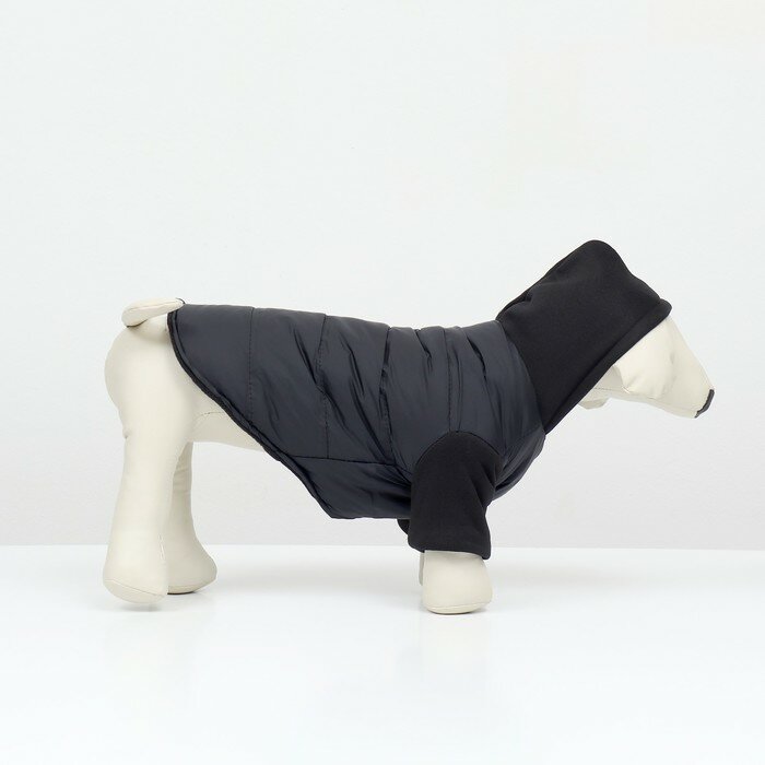 Куртка для собак "Спорт" с капюшоном, размер S (ДС 25, ОГ 35, ОШ 25 см) , чёрная - фотография № 4