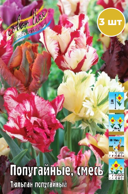 Луковицы тюльпана "Попугайные, смесь" на посадку 3 шт - фотография № 1