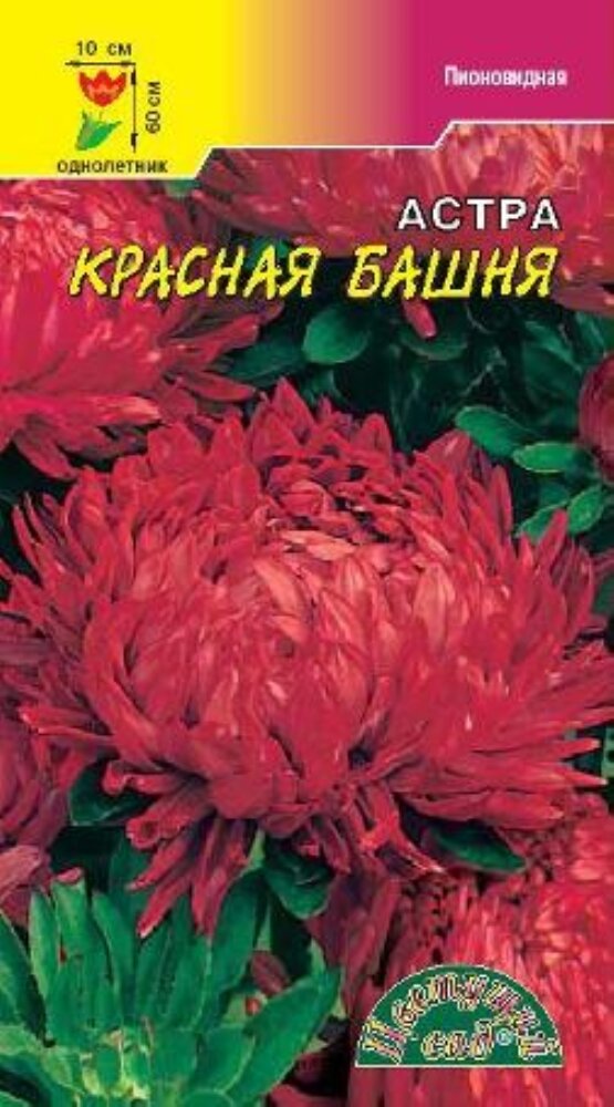 Астра Башня Красная пионовидная 03г Одн 70см (Цвет сад)