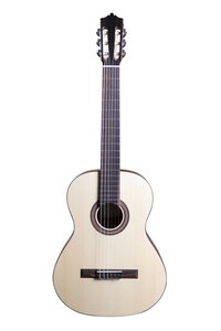 Фото MC-18 Классическая гитара, с чехлом, ель, Martinez