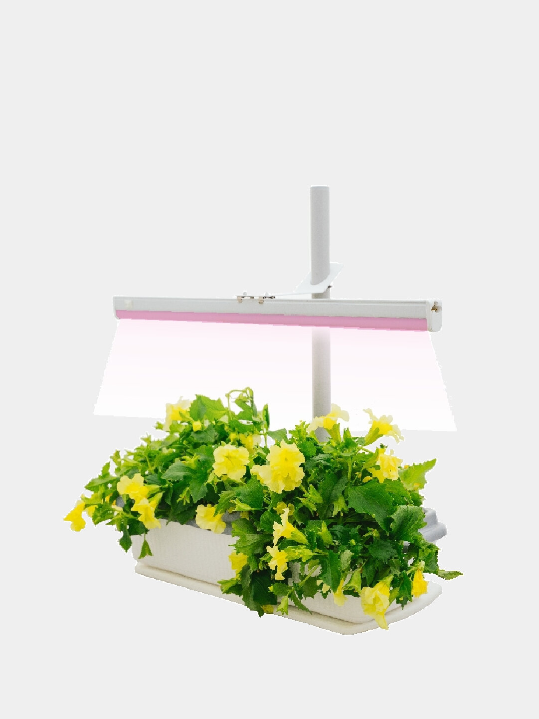 Лампа для растений 