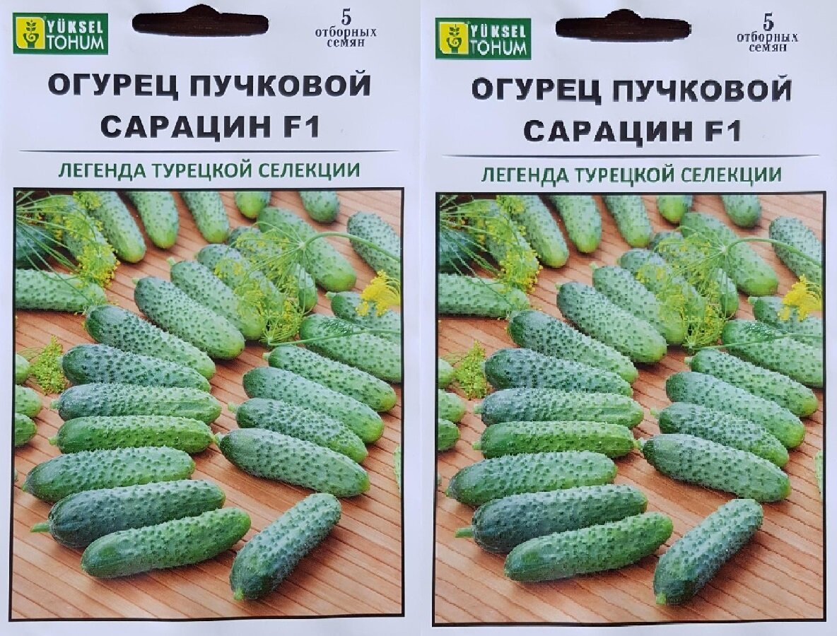 фото "Огурец Сарацин F1, 2 упаковки по 5 семян, суперурожайный ""Yuksel Seeds"" Турция"