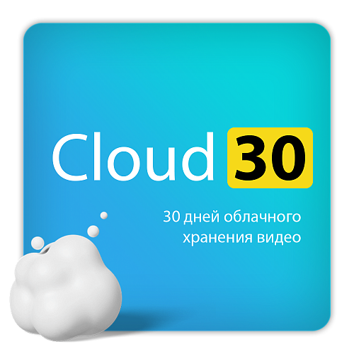 Тариф ivideon Cloud 30 на 1 месяц для одной камеры