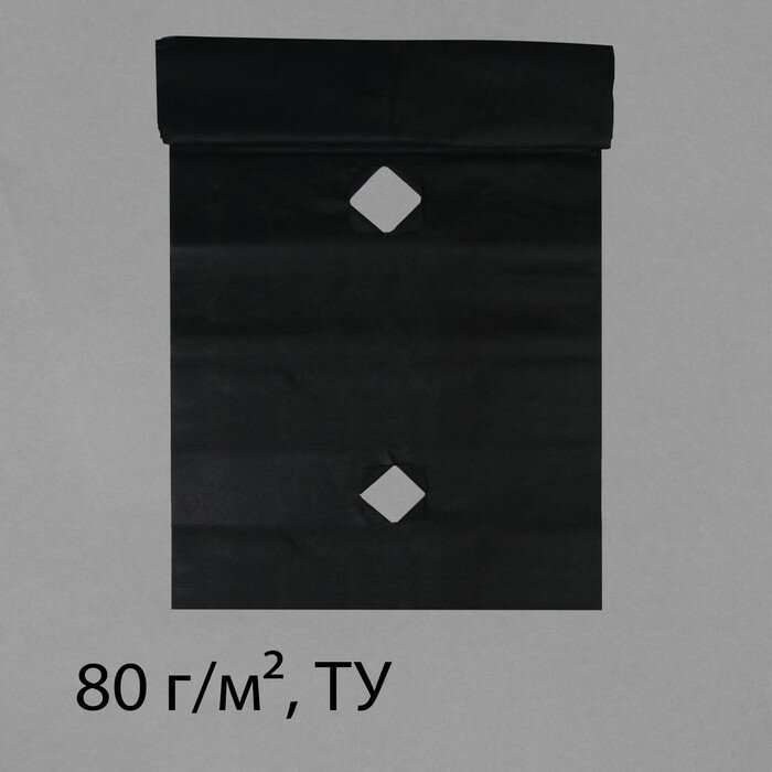 Материал мульчирующий, с перфорацией, 10 × 0,8 м, плотность 80 г/м², с УФ-стабилизатором, чёрный, Greengo, Эконом 20% - фотография № 1