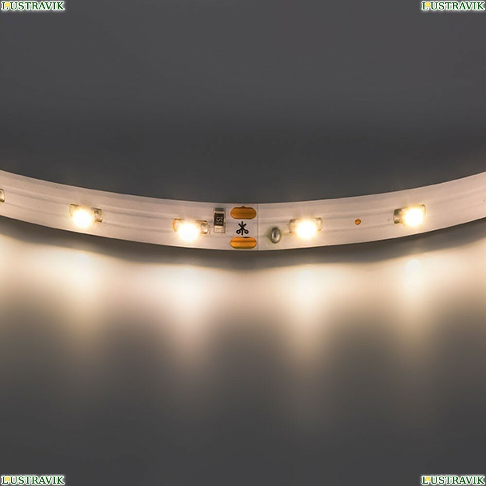 фото 400002 Лента светодиодная 3528LED 12V 4.8W/m 60LED/m IP20 2700K-3000K 200m/box теплый белый свет Lightstar