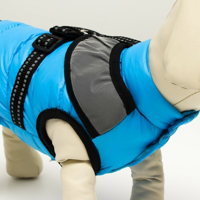 Куртка для собак со светоотражающей шлейкой, размер 8 (ДС 23, ОГ 30, ОШ 22), голубая - фотография № 5