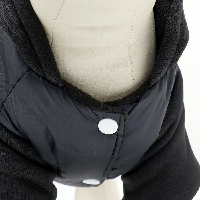 Куртка для собак "Спорт" с капюшоном, размер M (ДС 30, ОГ 40, ОШ 30 см), чёрная - фотография № 8