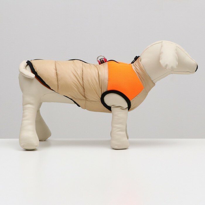 Куртка для собак на молнии, размер 10 (ДС 25 см, ОГ 34 см, ОШ 24 см), бежевая с оранжевым - фотография № 2