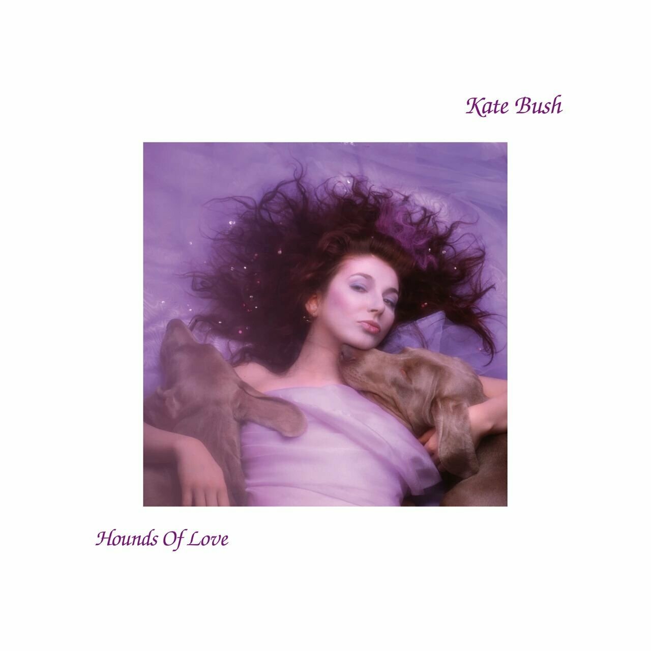 Виниловая пластинка Kate Bush - Hounds of Love