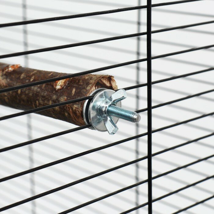 Одинарная древесная жердочка для птиц "Сила природы" с лакомством длина 17 см, диаметр 1,8-2 - фотография № 4