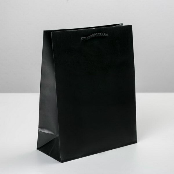 Пакет ламинированный «Чёрный» MS 18 х 23 х 8 см